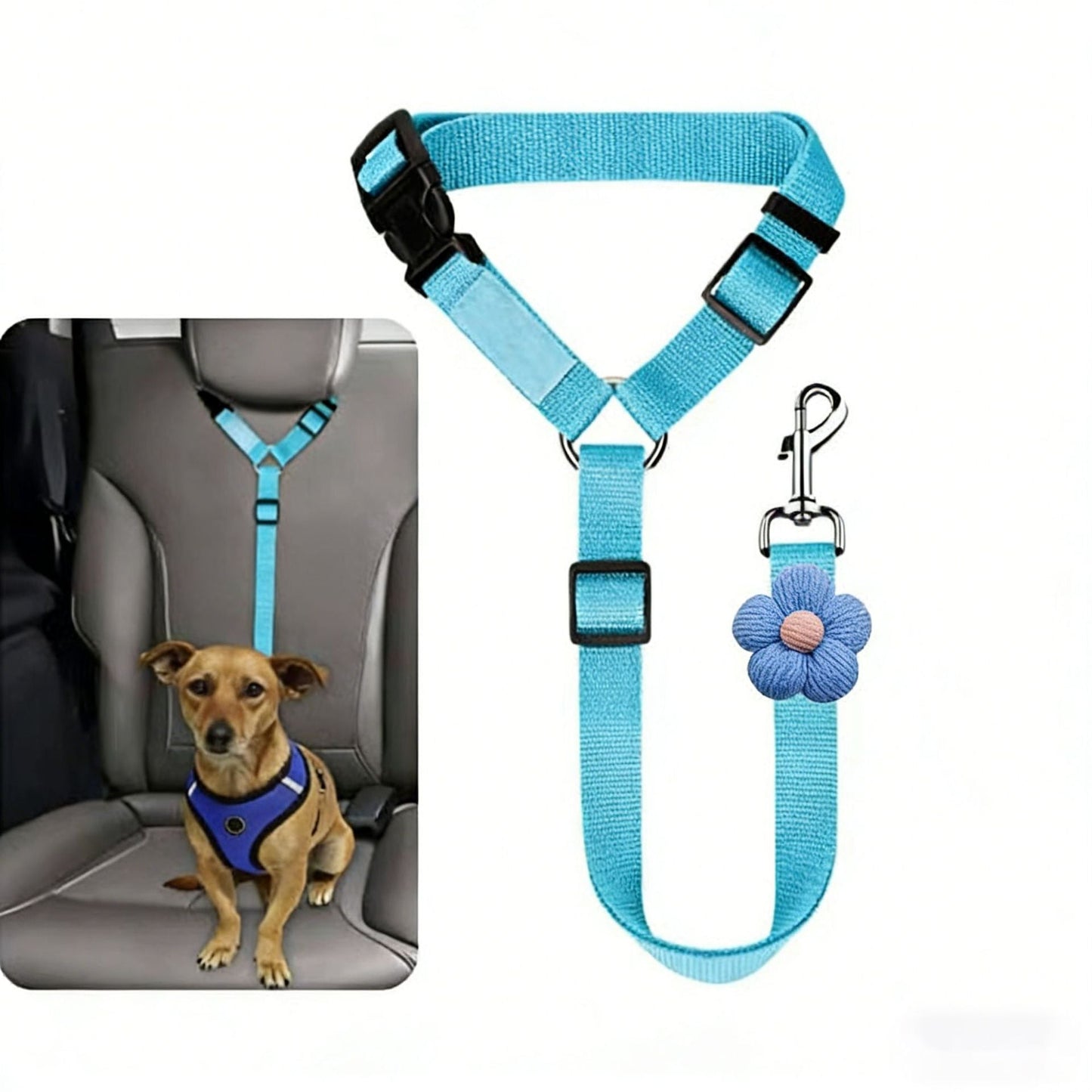 Pet Harnessed Seat Belt for Vehicle Use